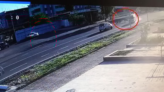 Кадр из видео