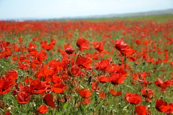 Фото: mytashkent.uz