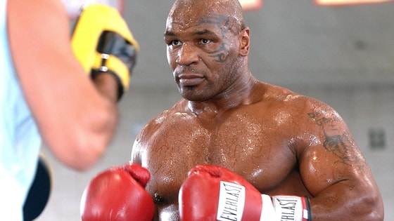 Фото: Известия