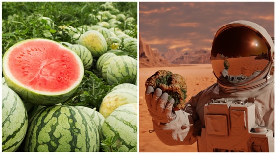 Фото: 5 канал