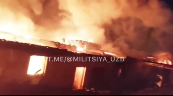 Кадр из видео