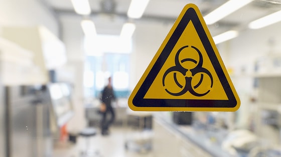 Фото:&nbsp;iz.ru