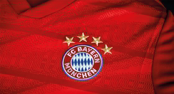 Фото: Stoneforest