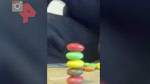 Фото: рен.тв