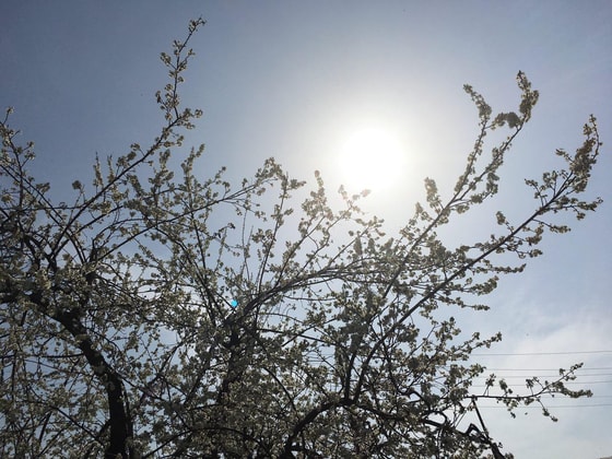 Фото: m.123ru.net