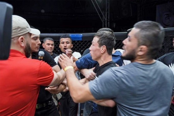 Фото: Чемпионат