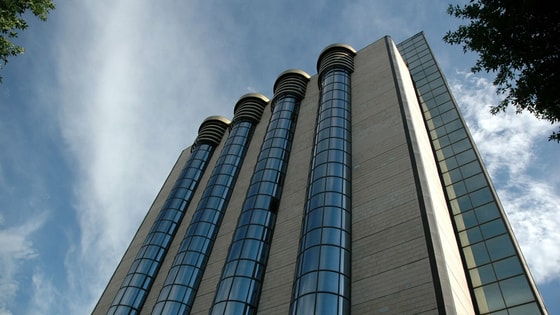 Фото: Баходыр Мамаджанов