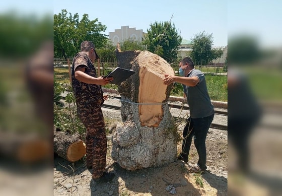 Фото: Госкомэкологии&nbsp;