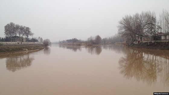 Фото: Википедия&nbsp;