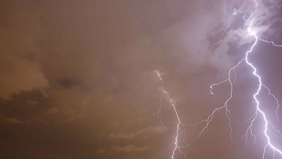 Фото: AP Photo / Rodrigo Abd