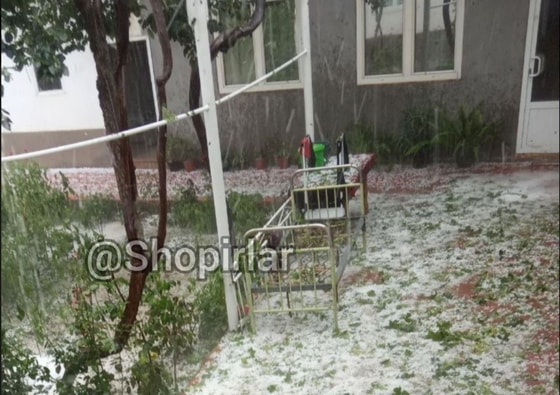 Фото: Telegram/@shopirlar