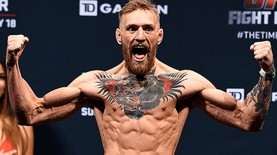 Фото: Мega-fight