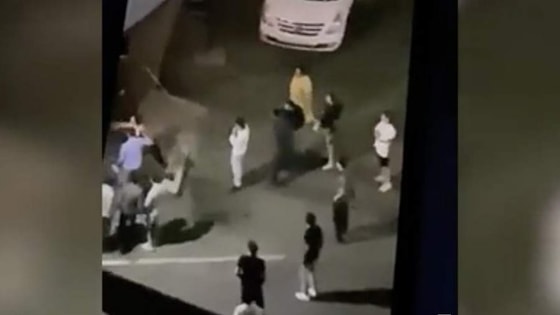 Фото: Кадр из видео