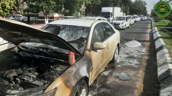 Фото: ГУБДД