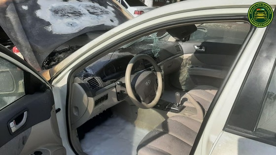 Фото: ГУБДД