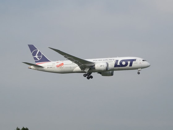 Фото: Новости Ташкентского неба