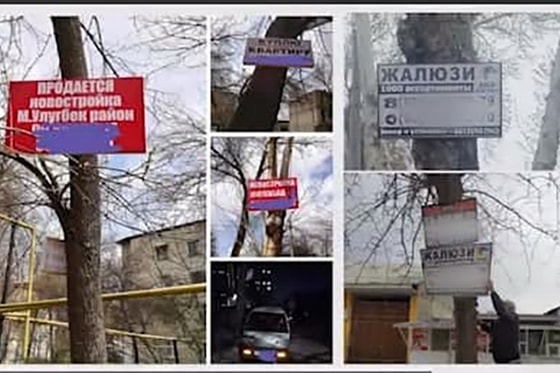 Фото: Пресс-служба Агентства по защите прав потребителей