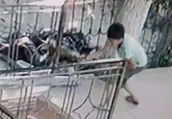 Фото: Кадр из видео