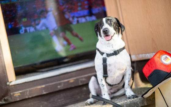 Фото: Global Look Press