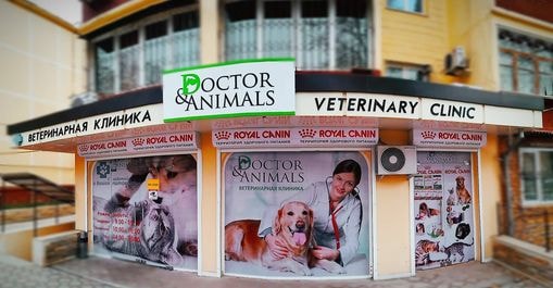 Фото: Facebook: Doctor &amp; Animals