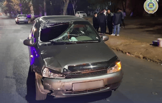 Фото: ГУБДД