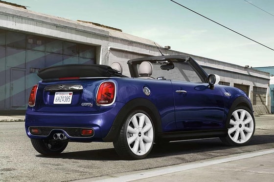 Фото: Чемпионат