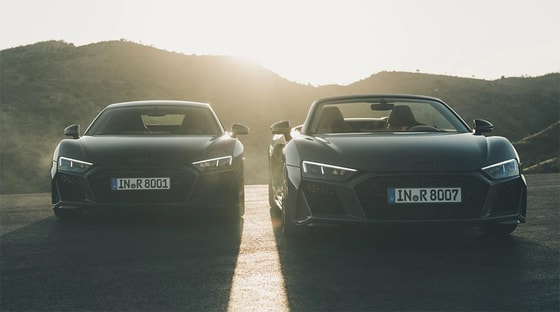 Фото: Чемпионат