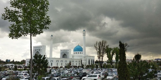 Фото:&nbsp;Яндекс.Новости