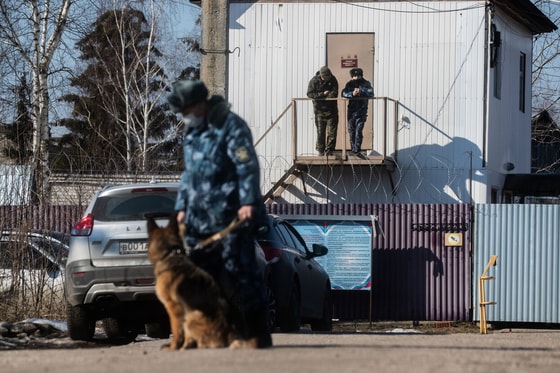 Фото:&nbsp;meduza-lite.vercel.app