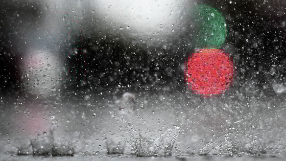 Фото: РИА Новости