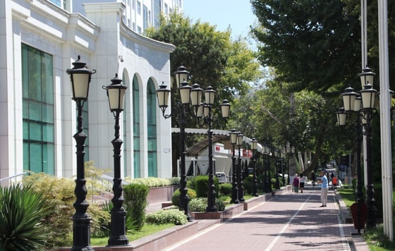 Фото: TezNews&nbsp;