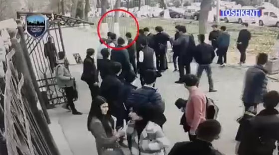 Фото: Кадр из видео