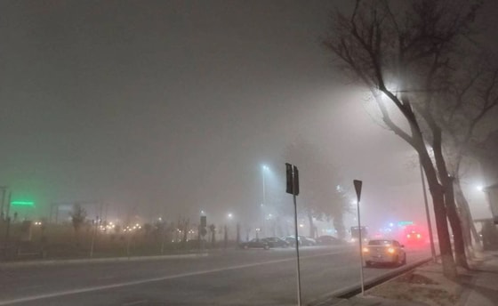 Фото: t.me/tashkent_away