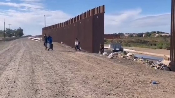 Фото: Скриншот из видео