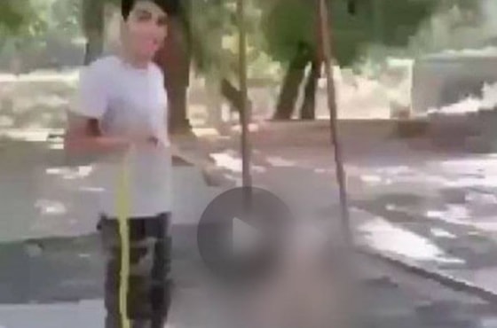 Фото: ОЗЖ&nbsp;«Мехр ва Окибат»