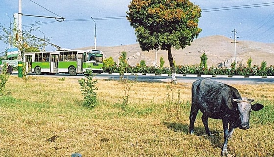 Фото:&nbsp;gruzovikpress.ru