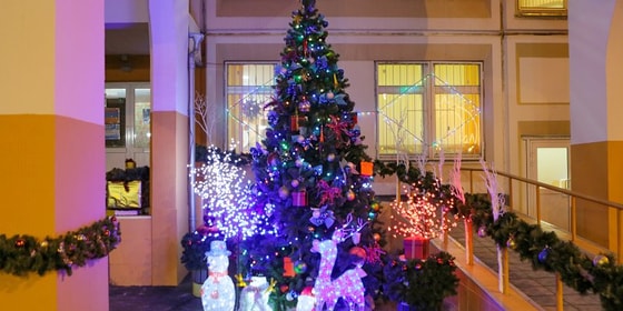 Фото: Ситуативное / Mos.ru