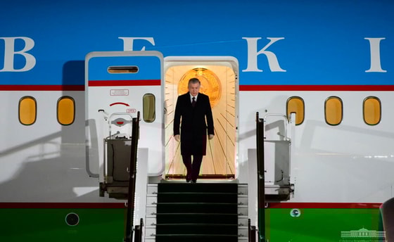 Фото:&nbsp;Яндекс.Дзен