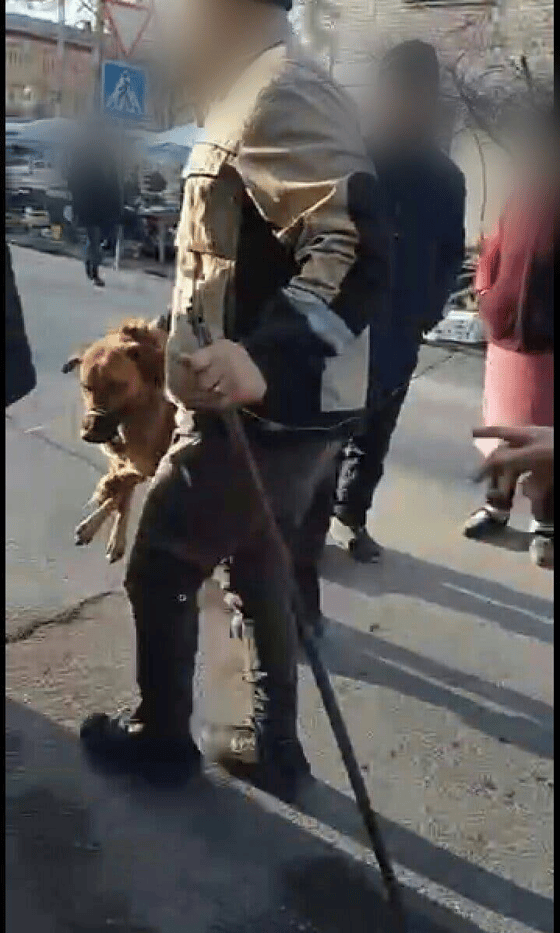 Фото: Mehr va Oqibat