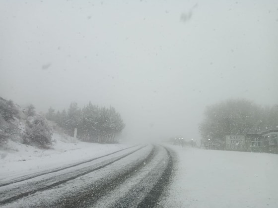 Фото: Пресс-служба МЧС