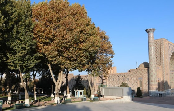 Фото: TezNews&nbsp;