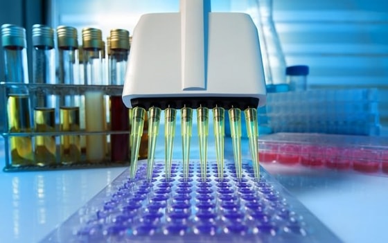 Фото:&nbsp;vitamed-vsev.ru