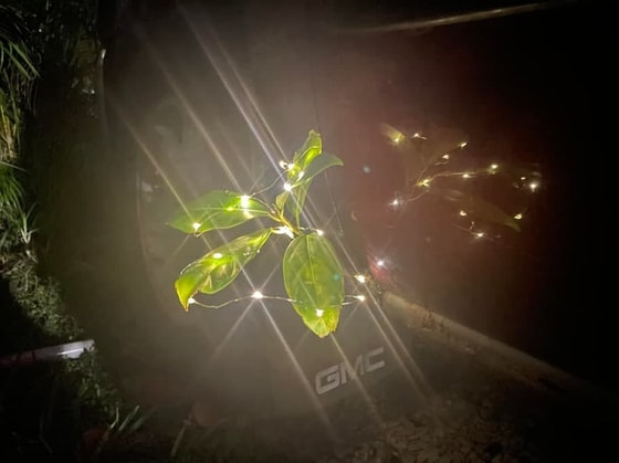 Фото: thedrive.com