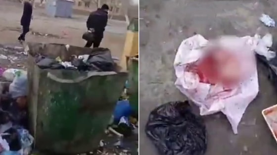 Фото: Кадры из видео