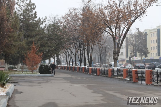 Фото: TezNews&nbsp;