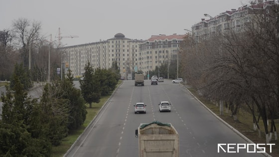 Фото: Repost&nbsp;