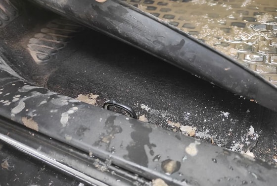 Фото: Zen.Yandex.ru