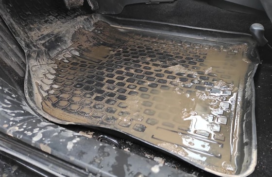 Фото: Zen.Yandex.ru