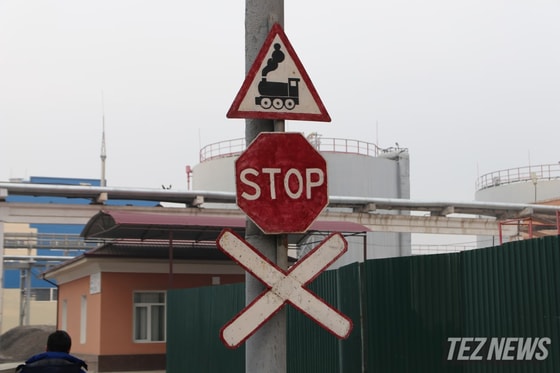 Фото: TezNews&nbsp;