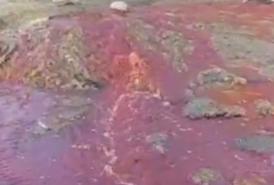 Фото: Кадр из видео